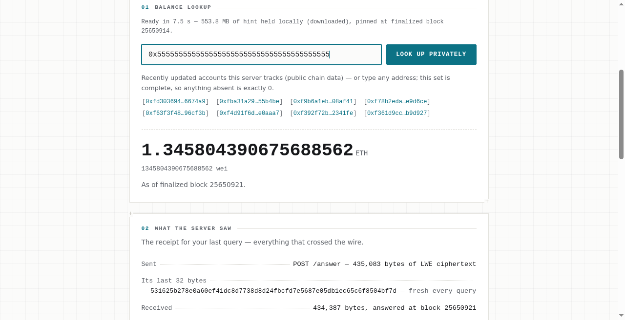 Screenshot of the RisePIR browser client showing a completed balance lookup result and a receipt panel listing what was sent and received.